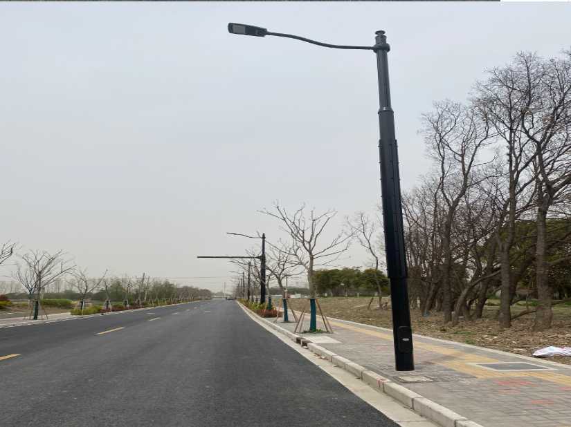 苍南县上海综合杆 太阳能路灯工程